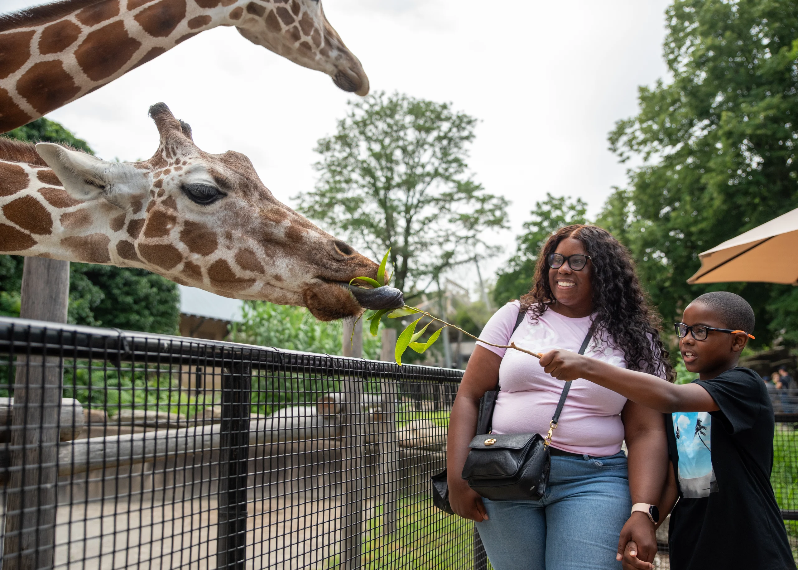 Philadelphia Zoo