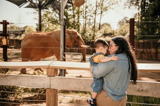 A woman holding a child watches an African elephant at the zoo on a sunny day.